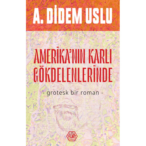 Amerika'nın Karlı Gökdelenlerinde - A. Didem Uslu